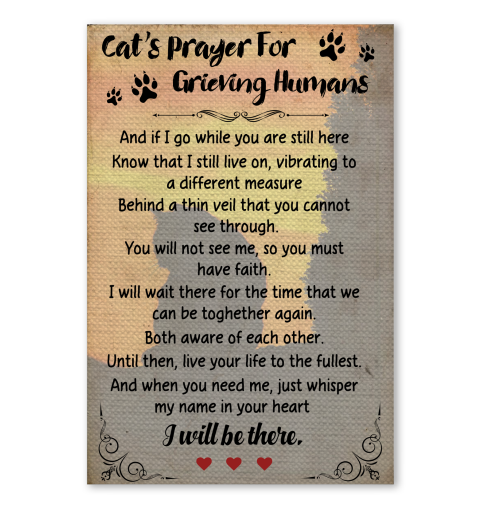 pix Cat's Prayer For Grieving Humans cat s prayer for grieving humans