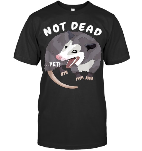Not Dead Yet Funny Possum Trash Opossum Meme Png